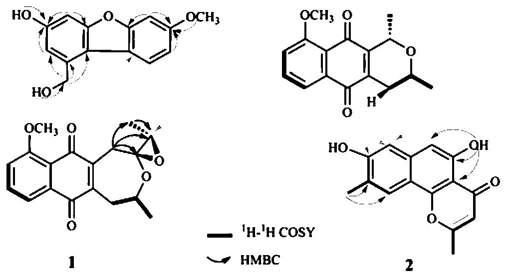 Two novel naphthoquinone dimers in Li medicine eleutherine americana, preparation method and application thereof