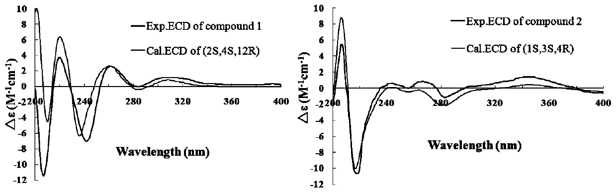 Two novel naphthoquinone dimers in Li medicine eleutherine americana, preparation method and application thereof