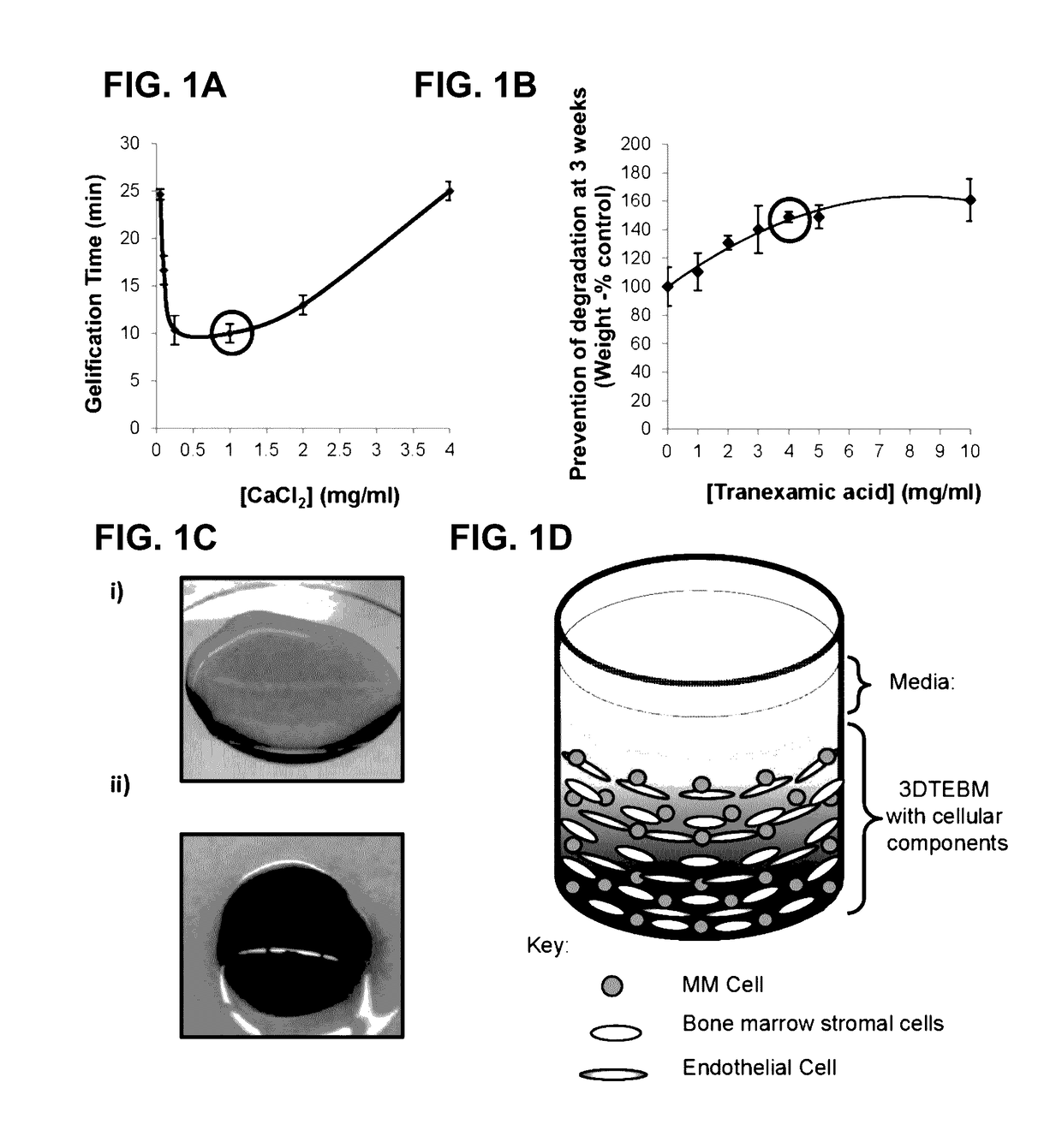 3D tissue-engineered bone marrow for personalized therapy and drug development