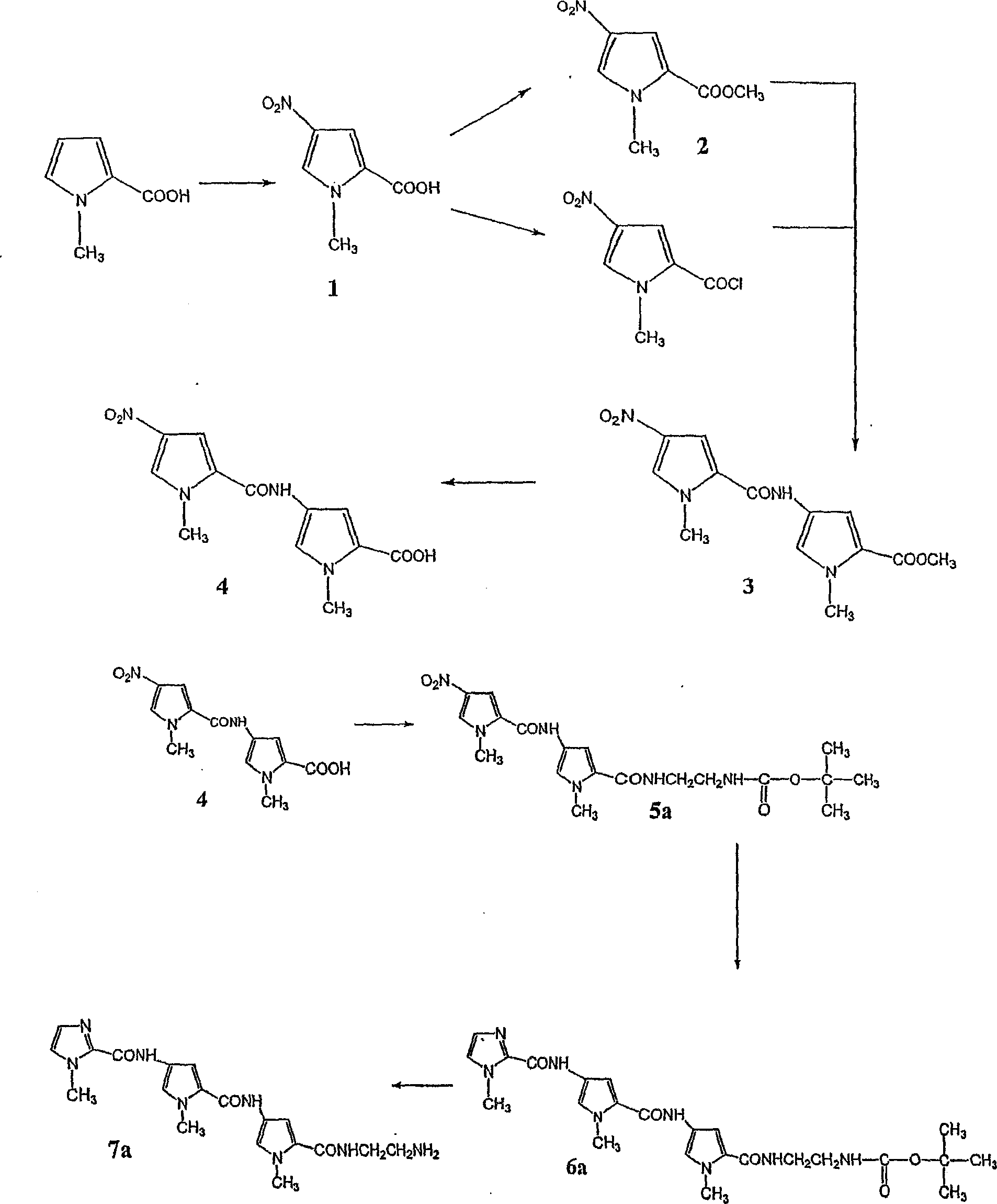 Sequence selective pyrrole and imidazole polyamide metallocomplexes