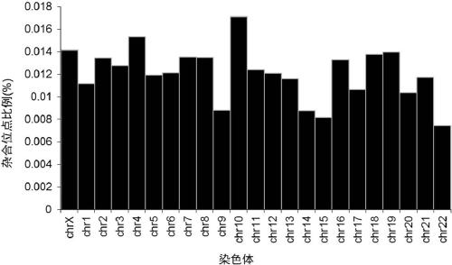 Method for identifying and analyzing ancient DNA sample