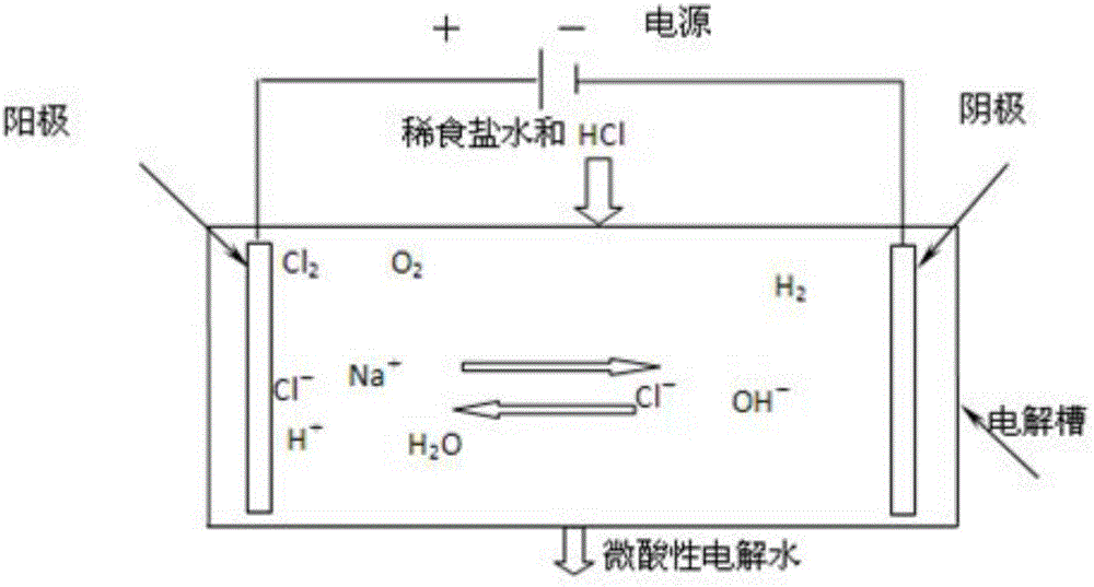 Method and device for producing subacid electrolyzed water