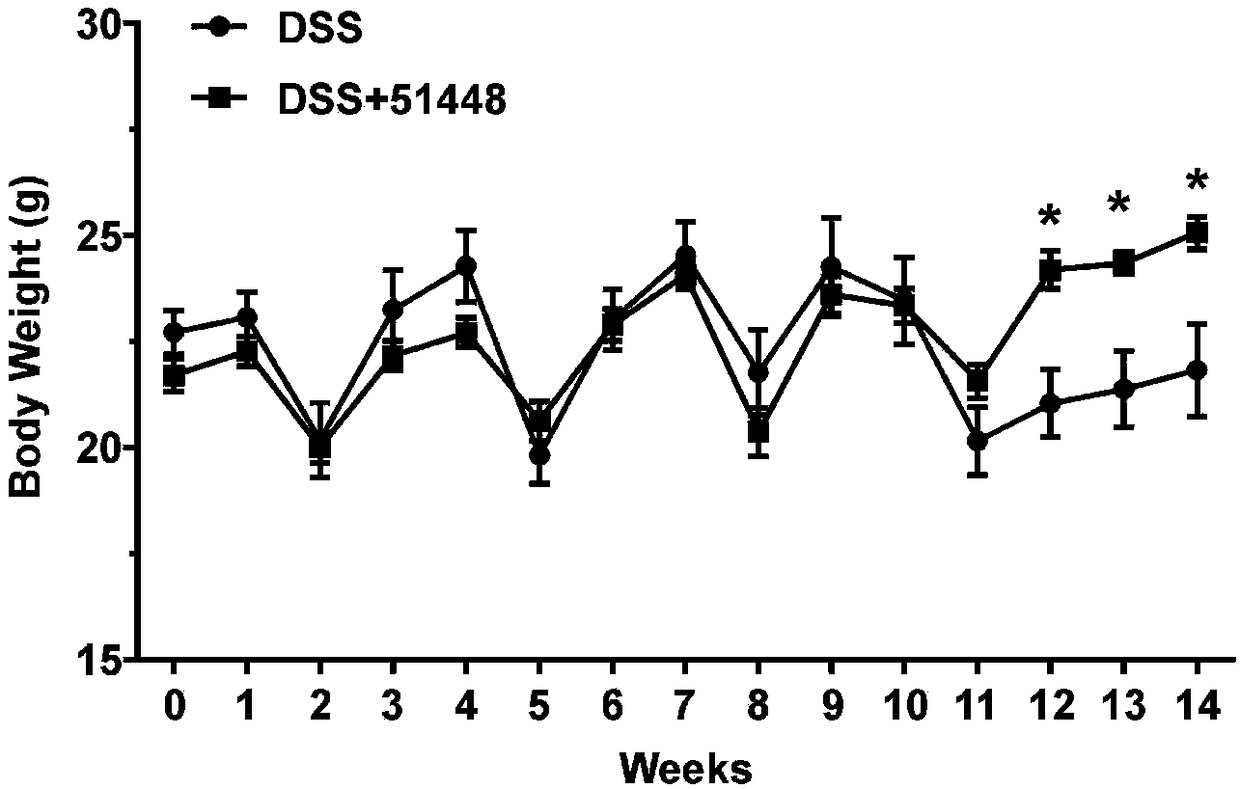 Microanaerobic bacteria for treating colon inflammation and application thereof