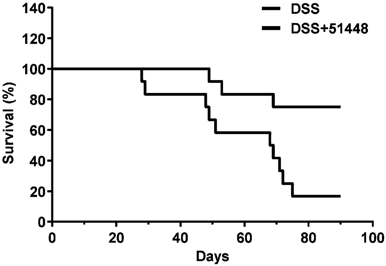 Microanaerobic bacteria for treating colon inflammation and application thereof