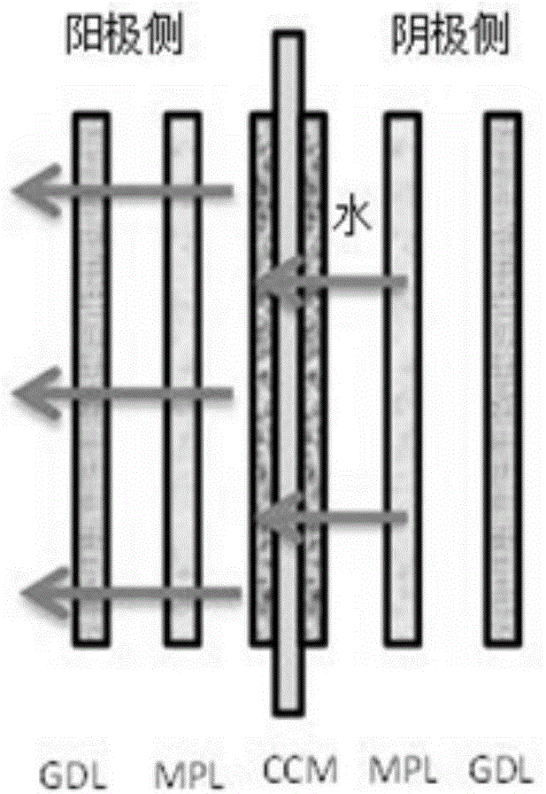 Direct methanol fuel cell membrane electrode structure and preparation method thereof