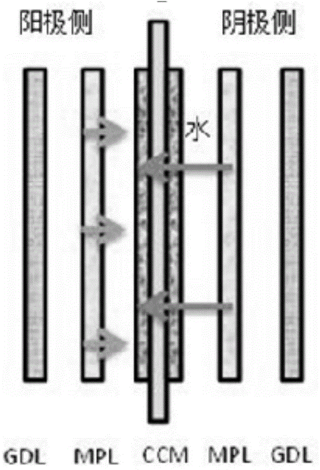 Direct methanol fuel cell membrane electrode structure and preparation method thereof