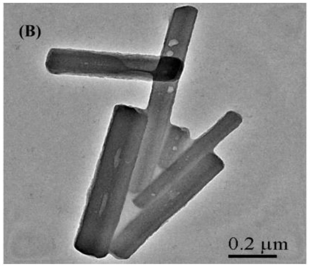 A kind of nanoporphyrin catalyst and the method utilizing its catalysis TMB color development