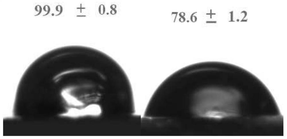 A strain of Pichia monteritima that degrades polyethylene and produces alkanes