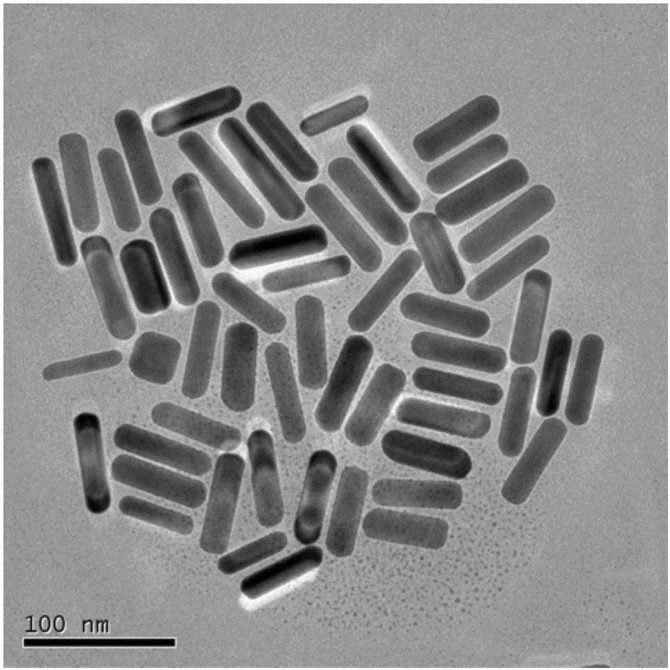 Photocatalytic material and preparation method and application thereof