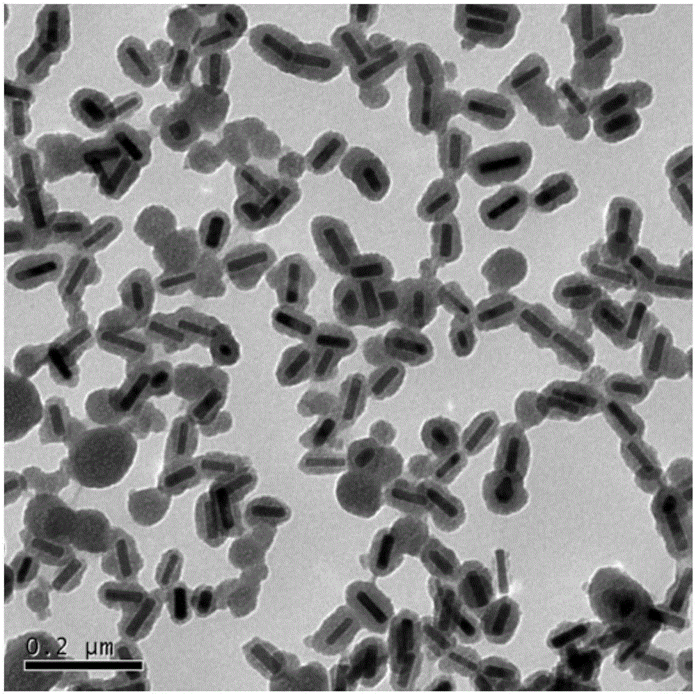 Photocatalytic material and preparation method and application thereof