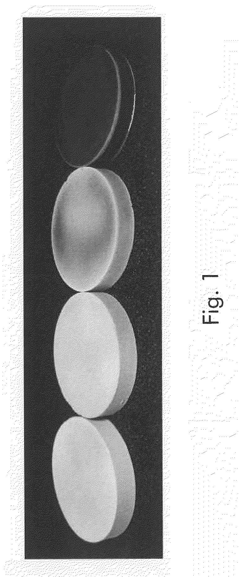 SiC BODIES AND PROCESS FOR THE FABRICATION OF SiC BODIES