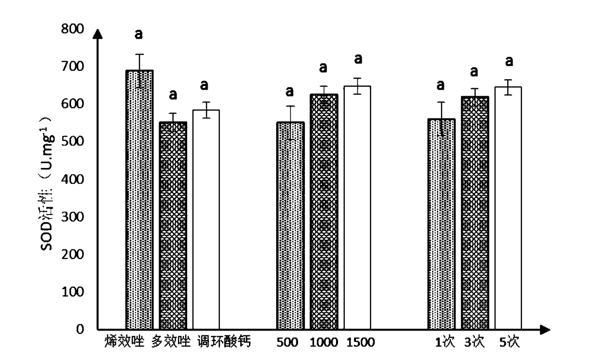 Dwarf culture method for magnolia wufengensis by using uniconazole