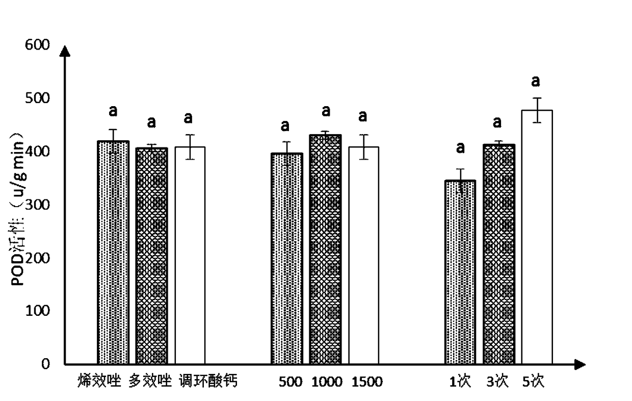 Dwarf culture method for magnolia wufengensis by using uniconazole