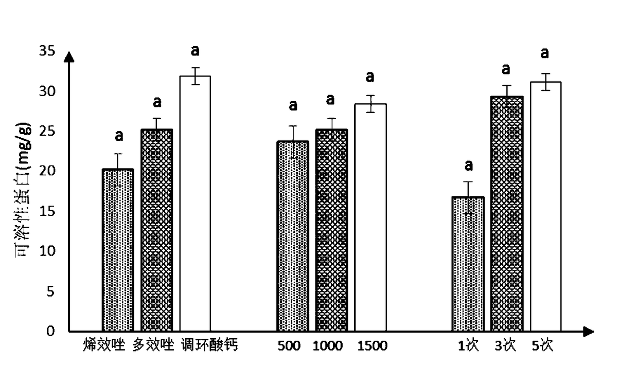 Dwarf culture method for magnolia wufengensis by using uniconazole