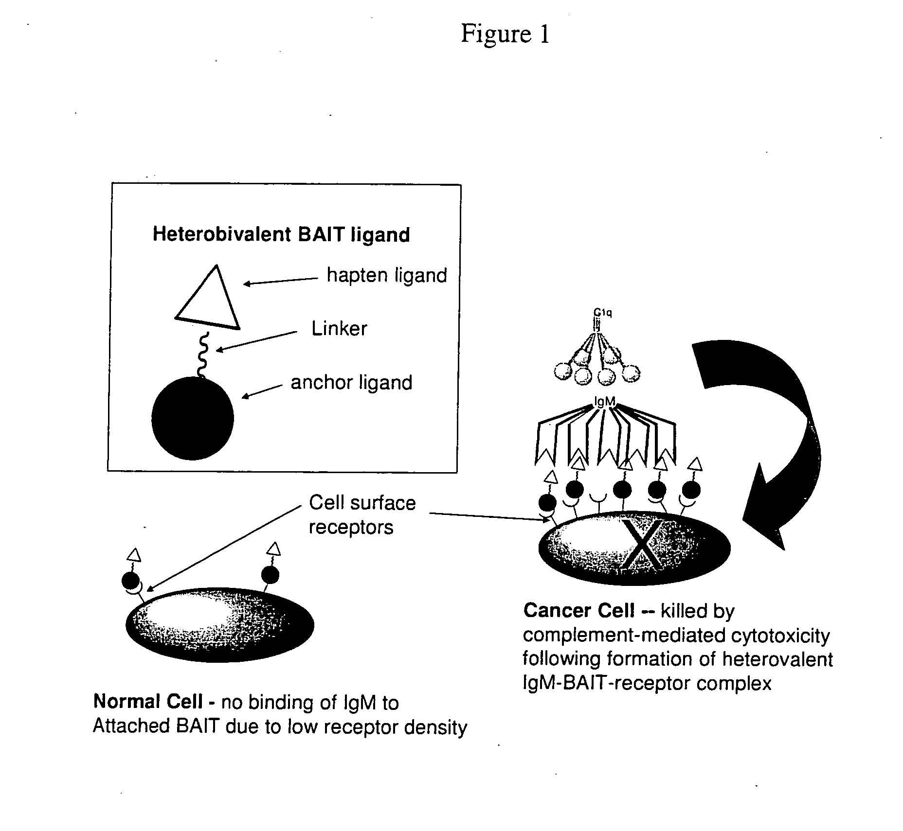 Methods and compositions for pharmacologially controlled targeted immunotherapy