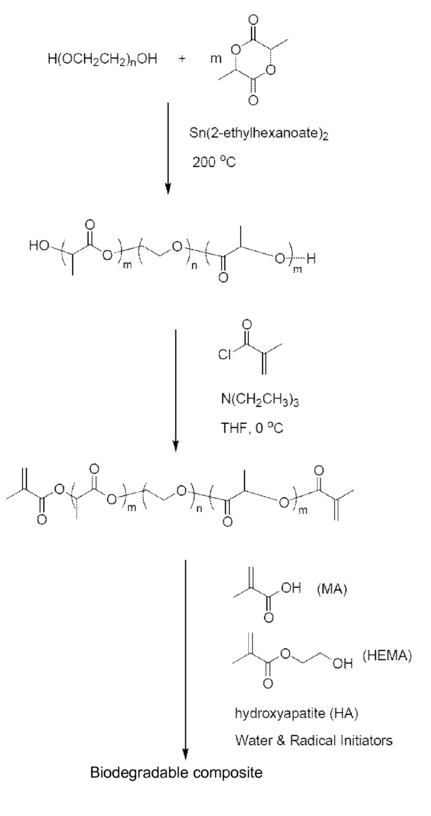 Biodegradable synthetic bone composites