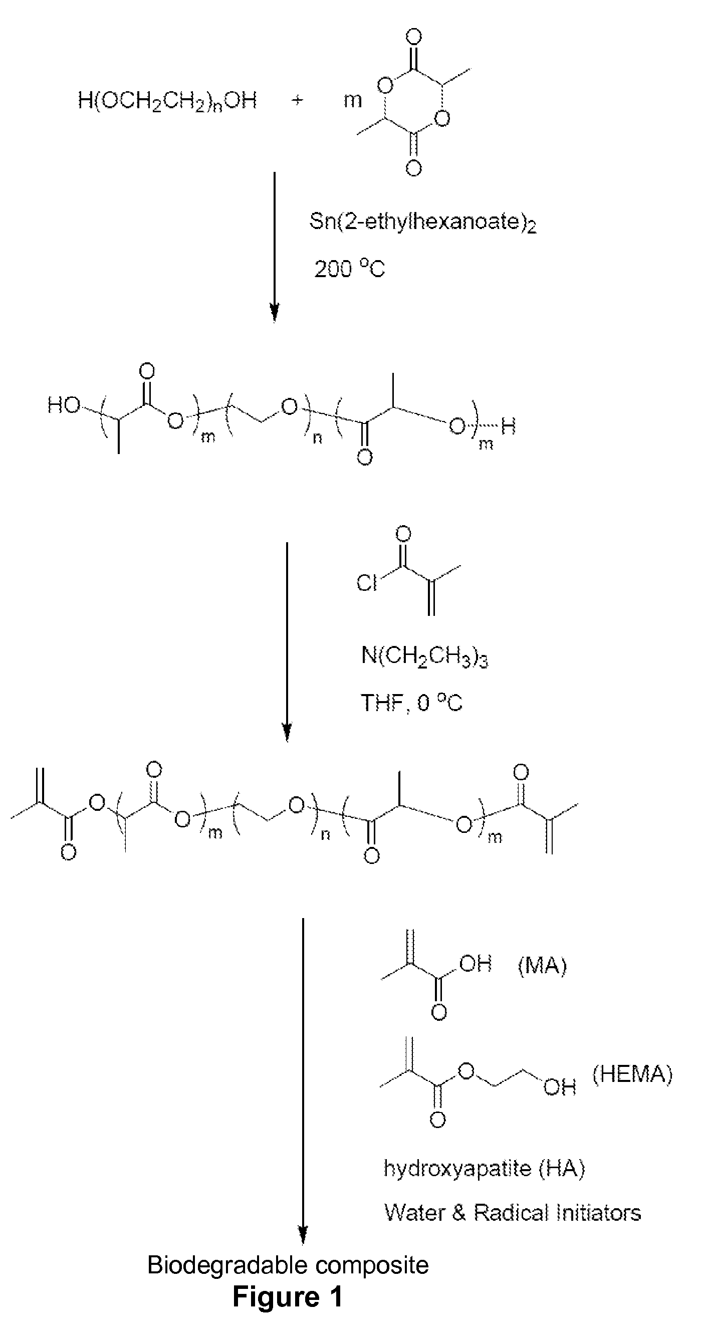 Biodegradable synthetic bone composites