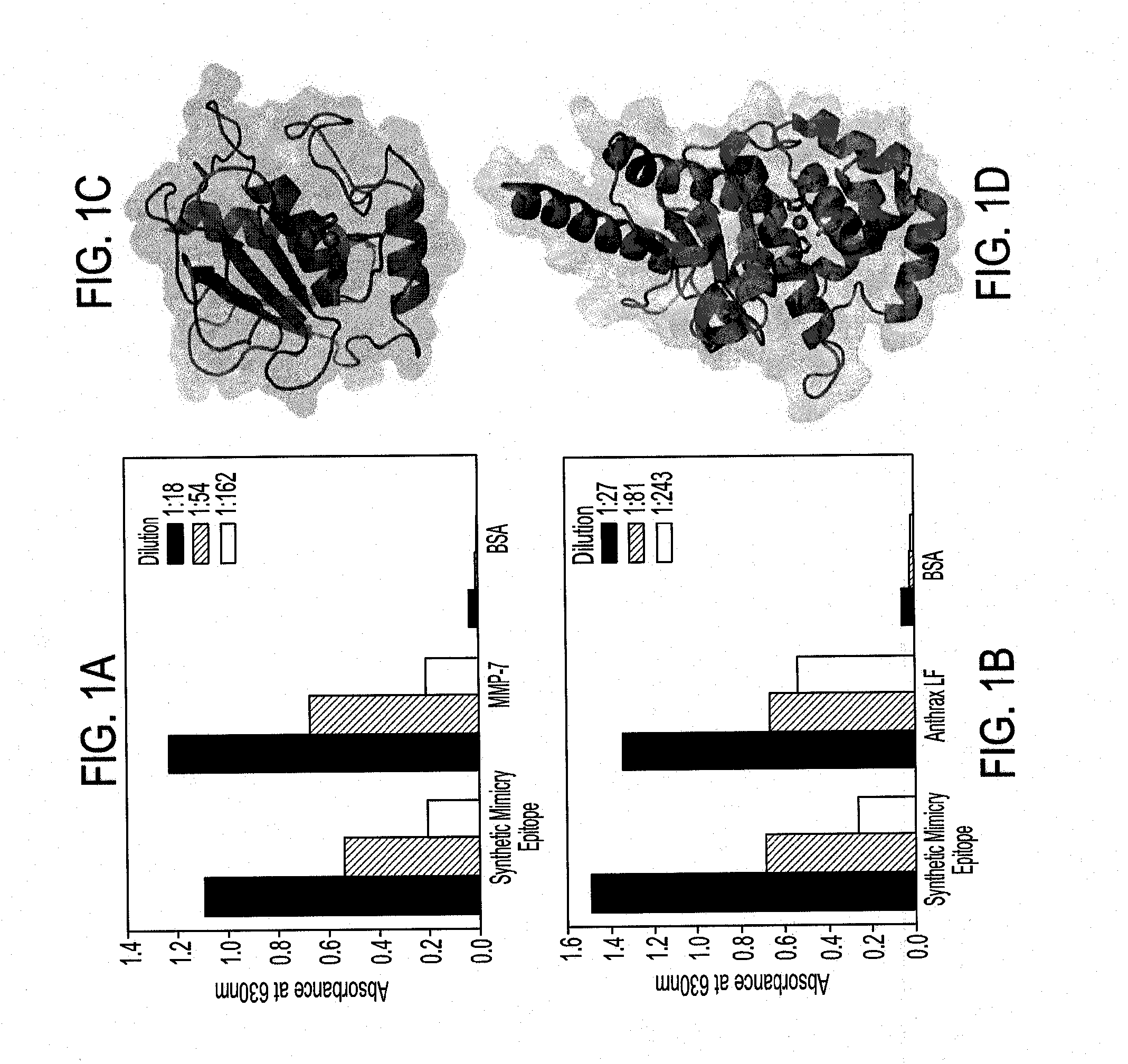 Methods of generating antibodies to metalloenzymes