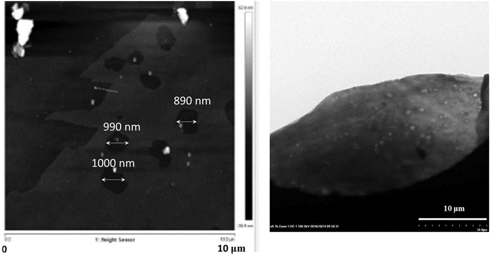 Two-dimensional lamellar porous black phosphorus material and preparation method thereof