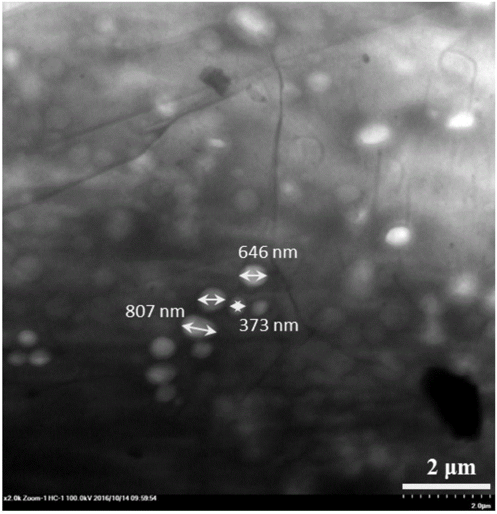 Two-dimensional lamellar porous black phosphorus material and preparation method thereof