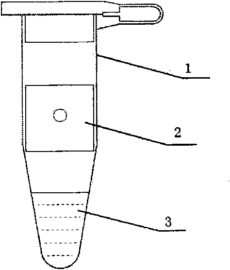 Detection method for nucleic acid amplification product