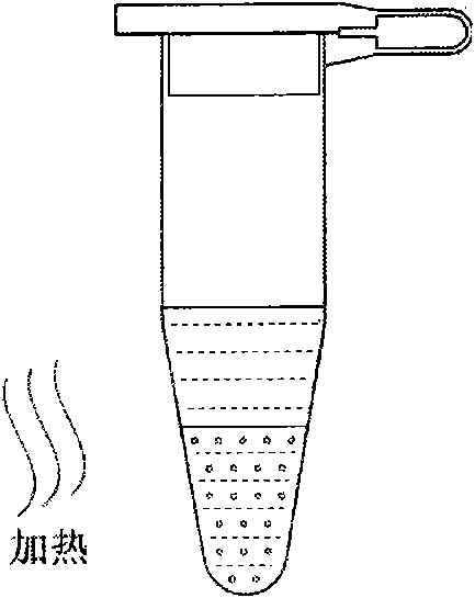 Detection method for nucleic acid amplification product