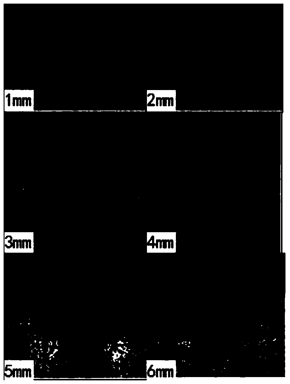 Auxiliary agent for laser welding, application thereof and welding method