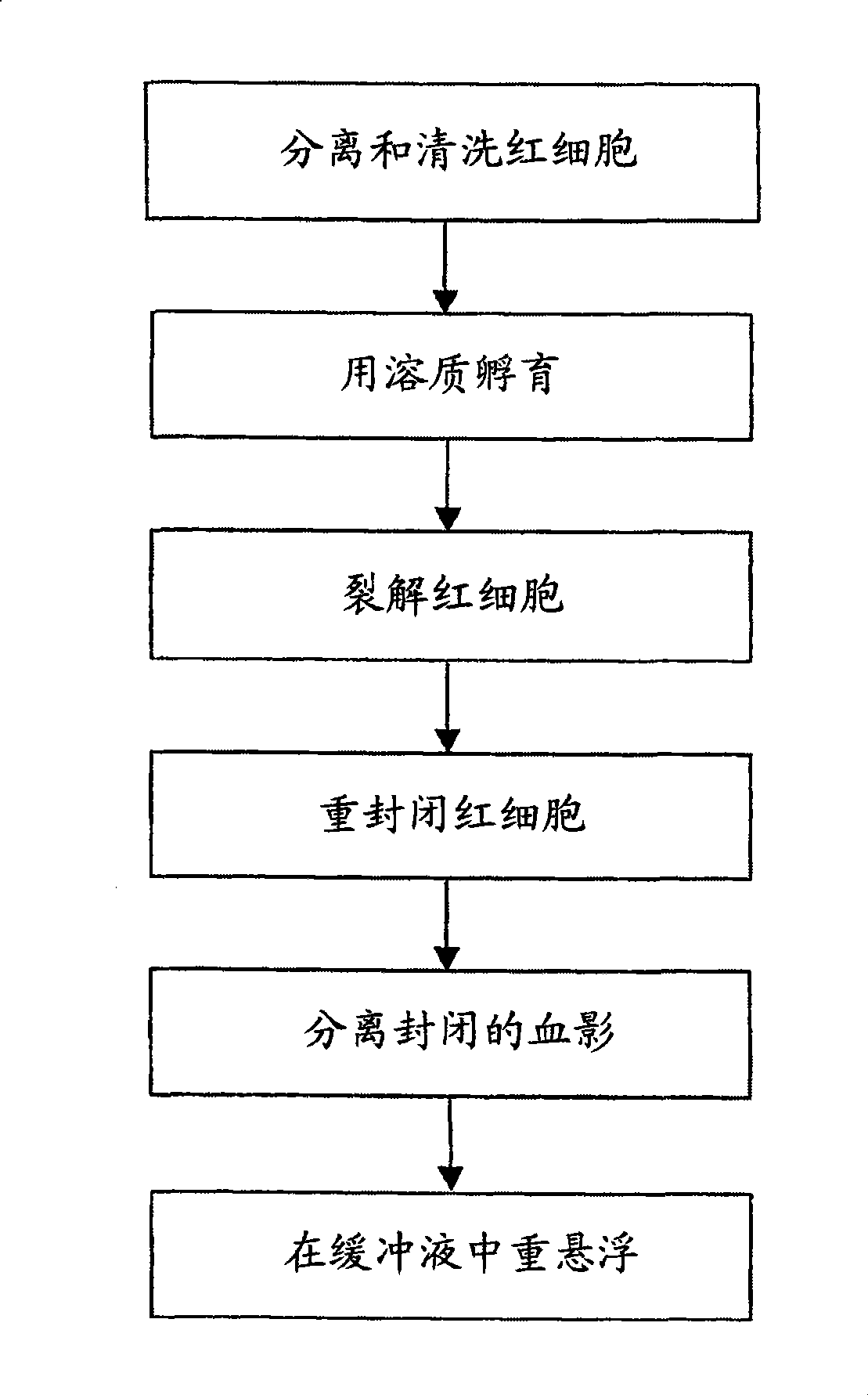 Multiplexed detection of anti-red cell alloantibodies