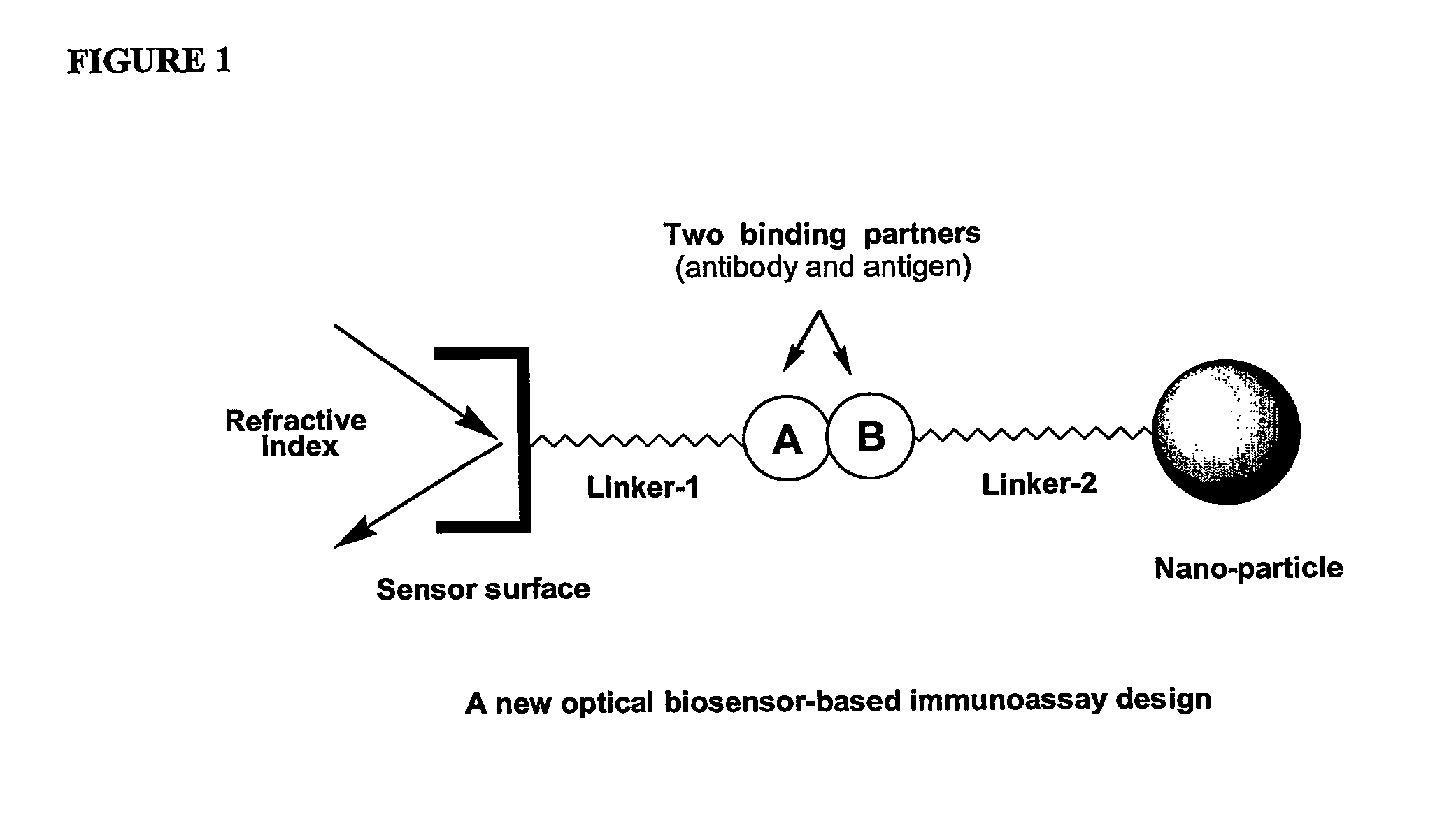 Immunoassay