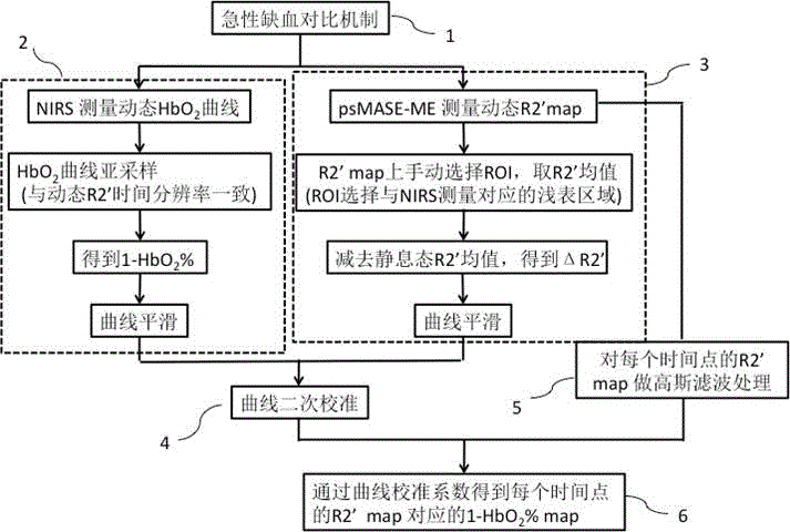 A noninvasive dynamic muscle oxygen uptake rate measuring method based on magnetic resonance imaging