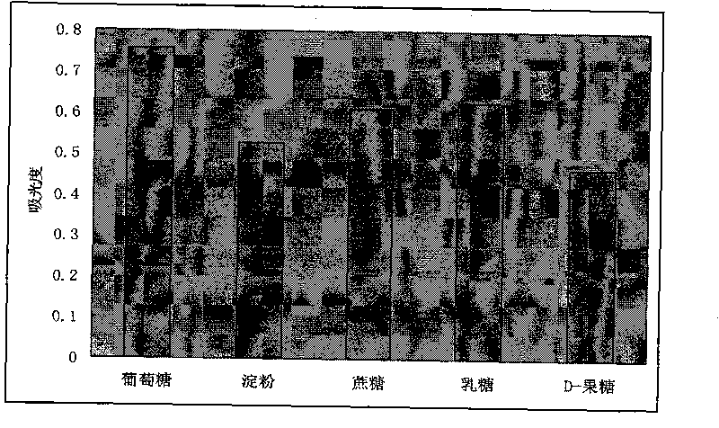 Isolation and culture method and application of Agrobaterium isolate