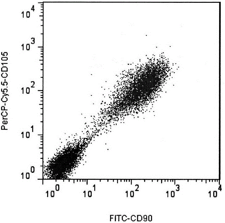 Method of inducing and differentiating human umbilical cord derived mesenchymal stem cells into cartilage cells