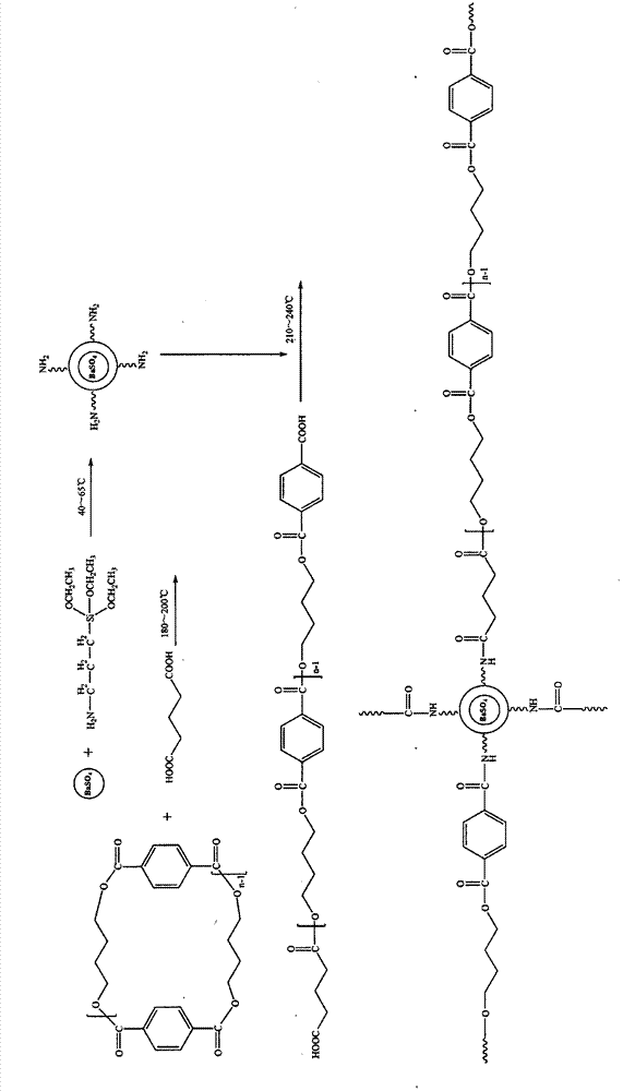 Production method for nylon lace