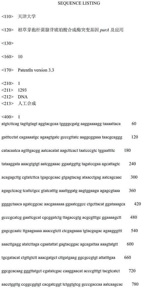 Bacillus subtilis adenylosuccinate synthetase mutant gene purA and applications thereof