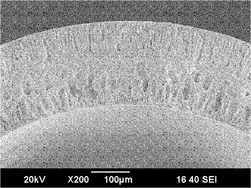 Hydrophobic ceramic hollow fiber membrane applied to membrane distillation and preparation method thereof