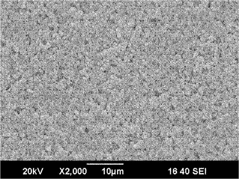 Hydrophobic ceramic hollow fiber membrane applied to membrane distillation and preparation method thereof