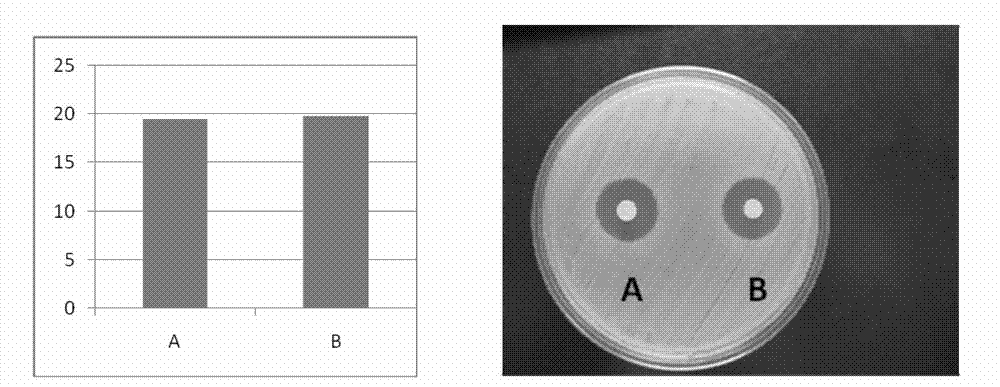 Cornea mid-term preserving fluid and preparation method thereof