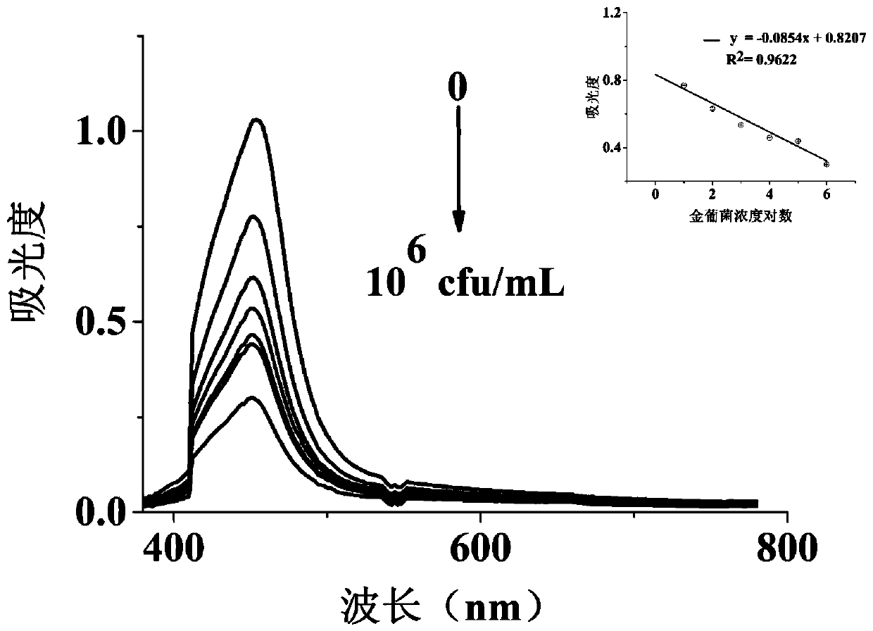 Staphylococcus aureus detection kit and manufacturing method thereof