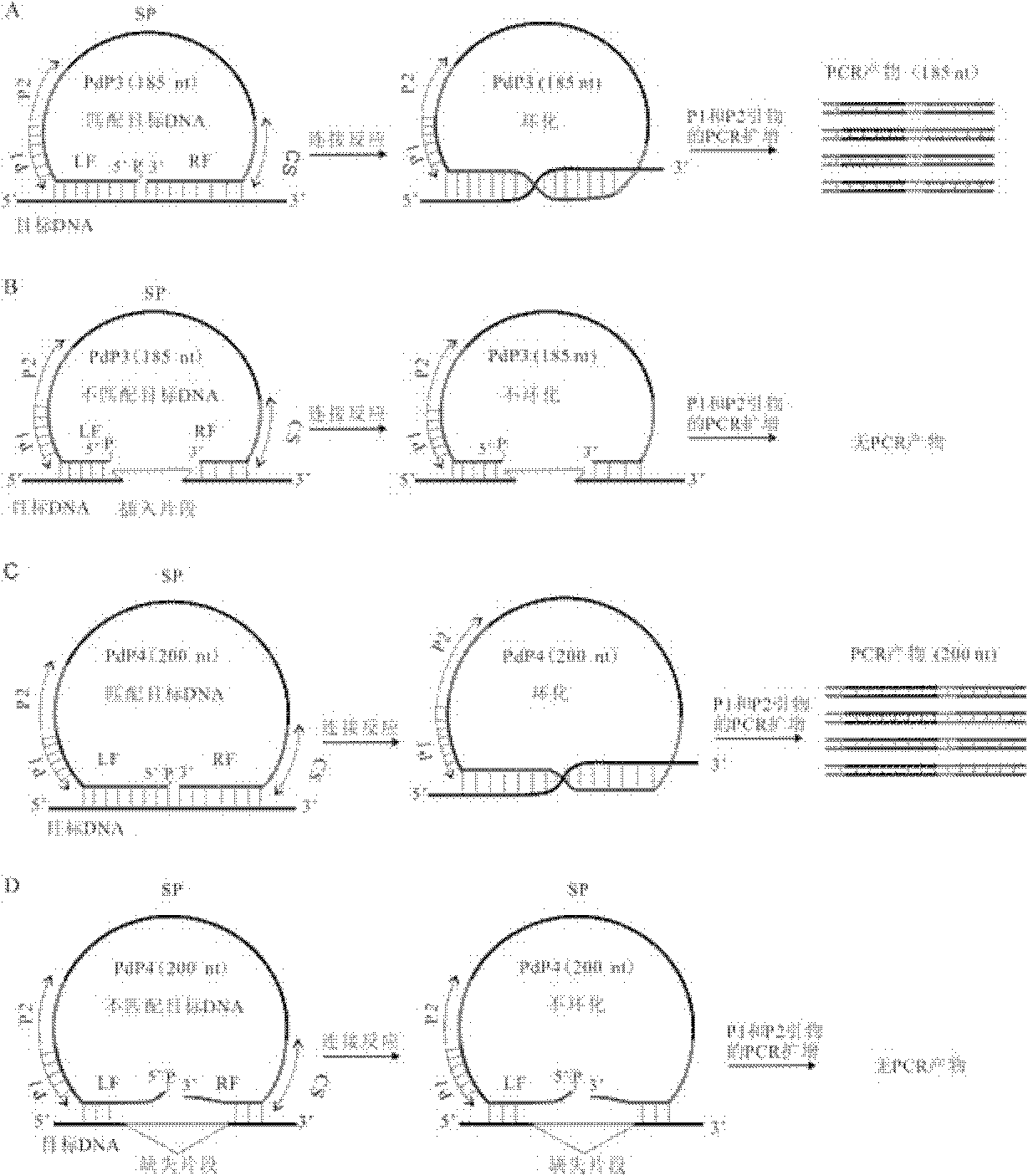 Multiple detection method for DNA polymorphism of genome and special probe thereof