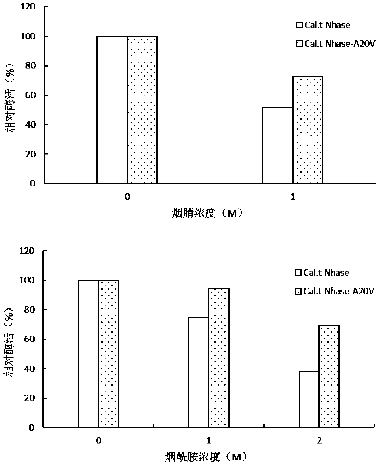 Mutant of nitrile hydratase derived from caldalkalibacillus thermarum