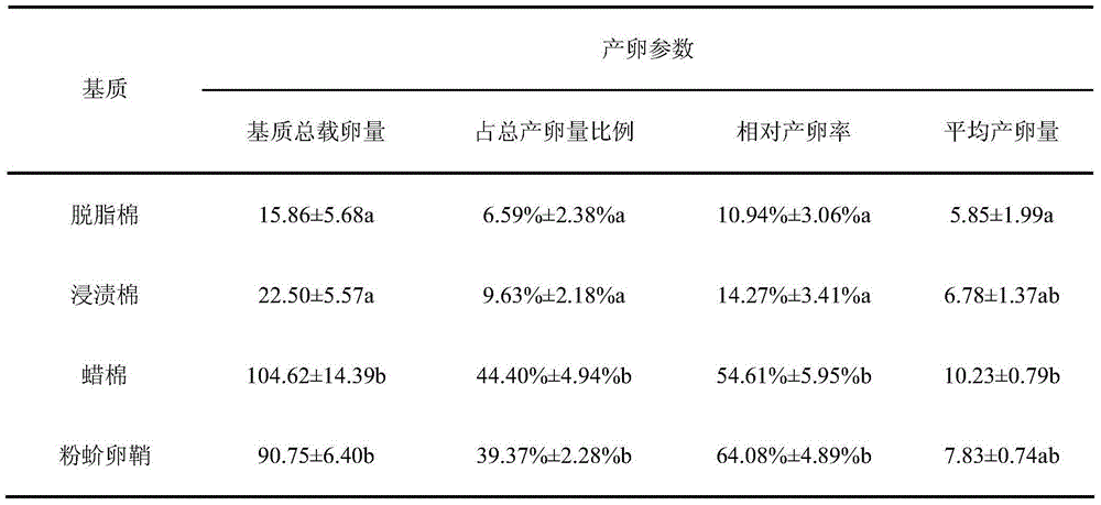 Artificial rearing, breed conservation and breeding production method for cryptolaemus montrouzieri mulsant