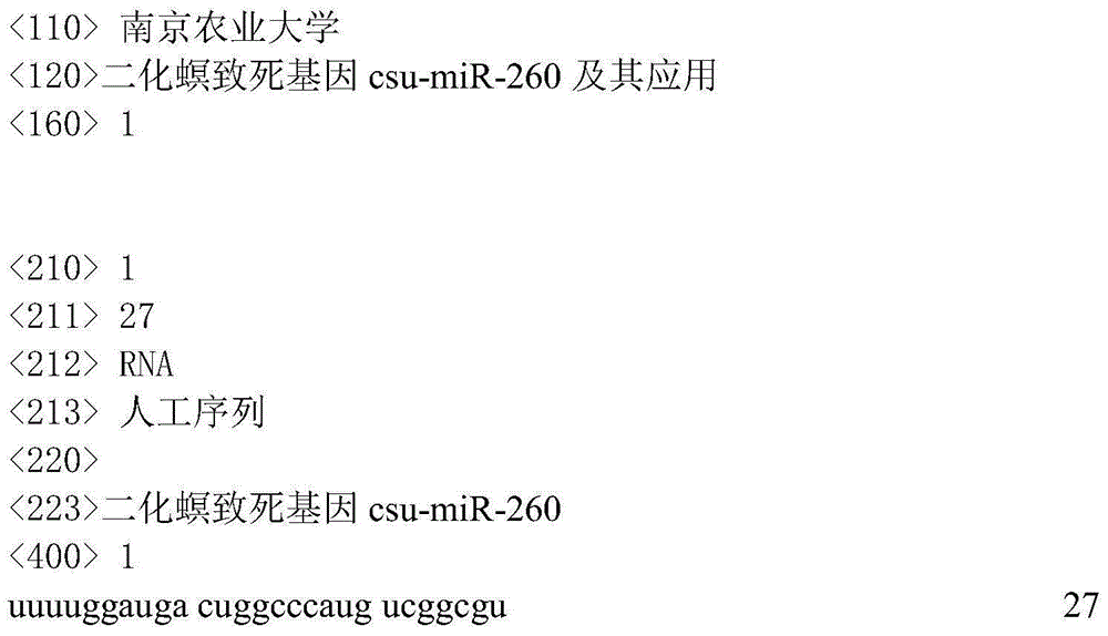 Chilo suppressalis lethal gene csu-miR-260 and application thereof