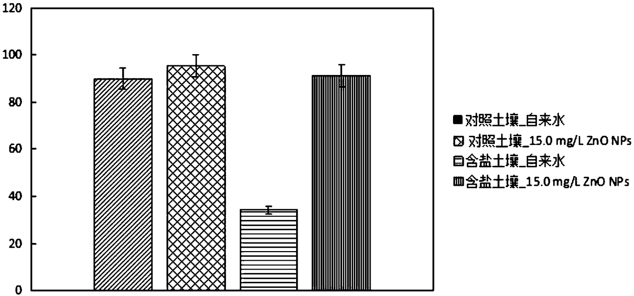 Application of nano zinc oxide in improving salt stress tolerance of plants