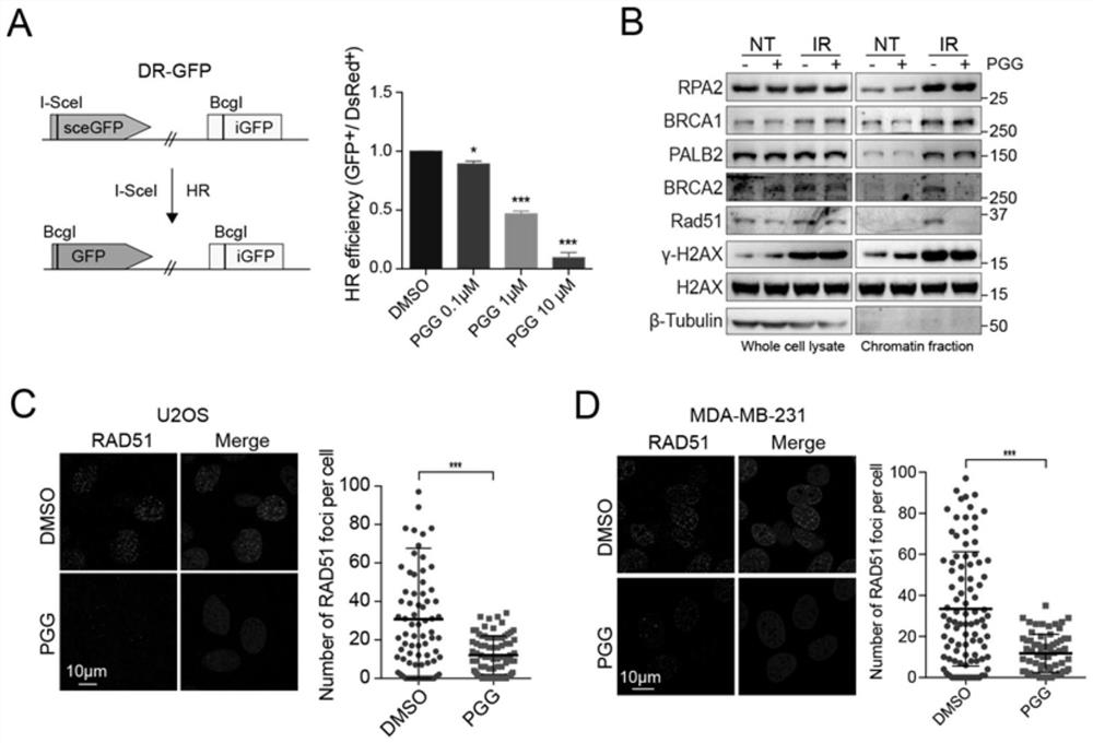 Application of beta-pentagalloylglucose in tumor resistance