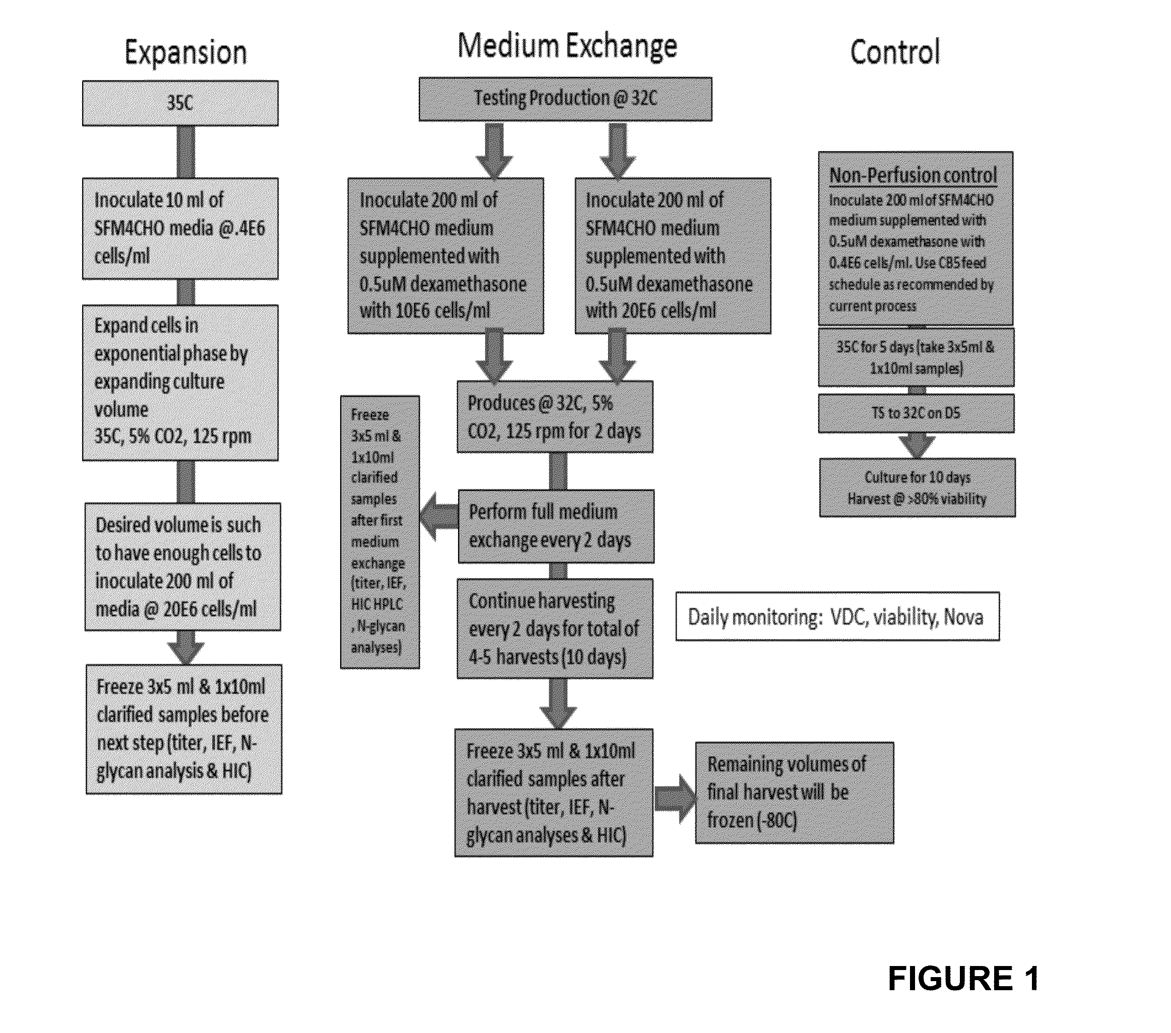 Protein Production Method