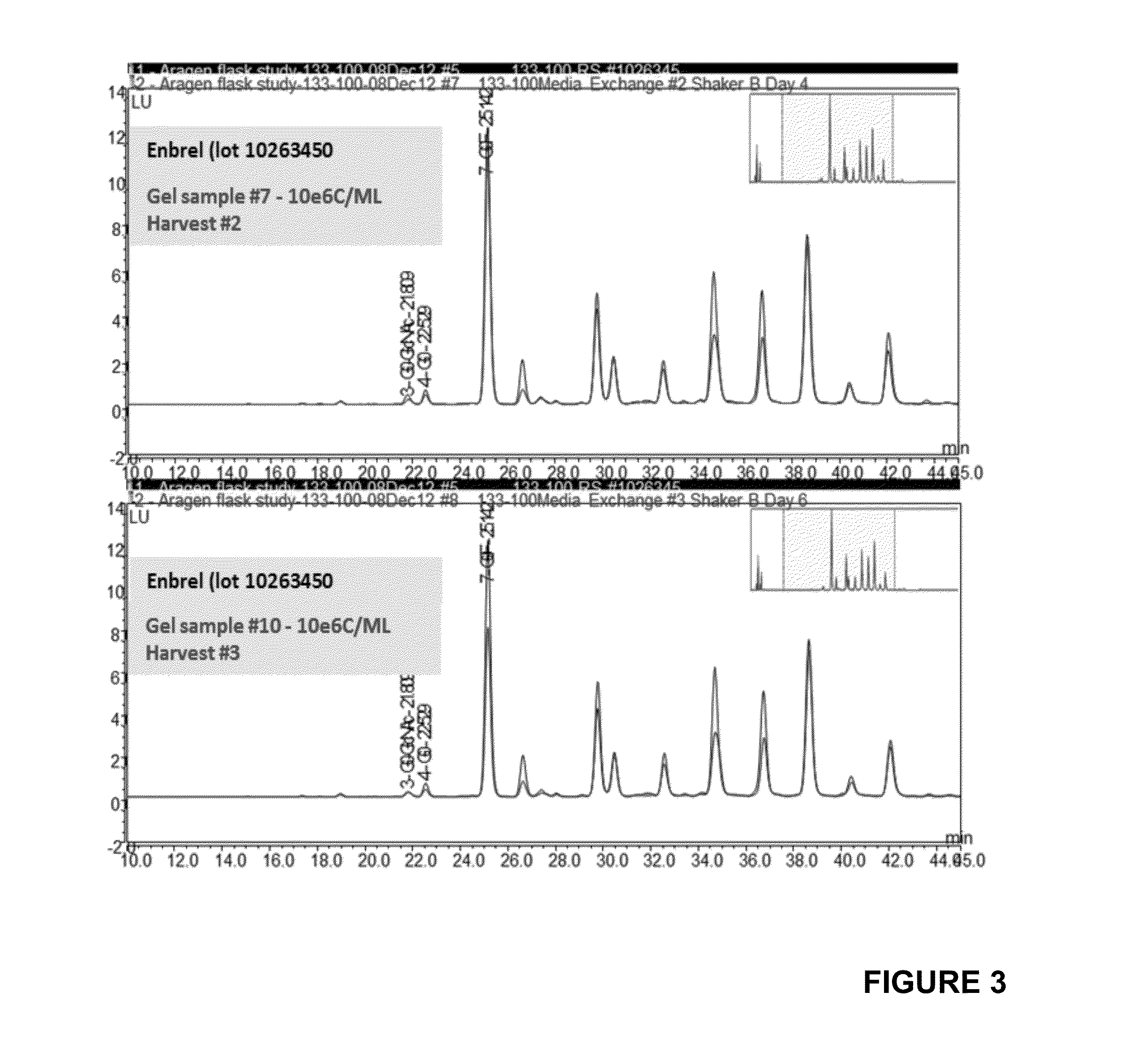 Protein Production Method