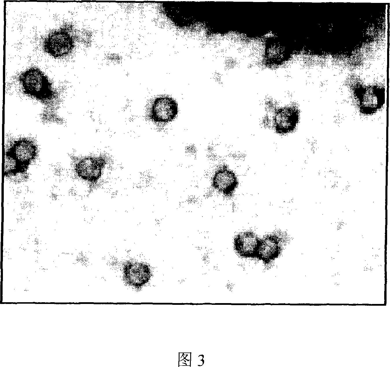 Construct of swine vesicular disease virus like particle using genetic engineering and the method for manufacturing thereof