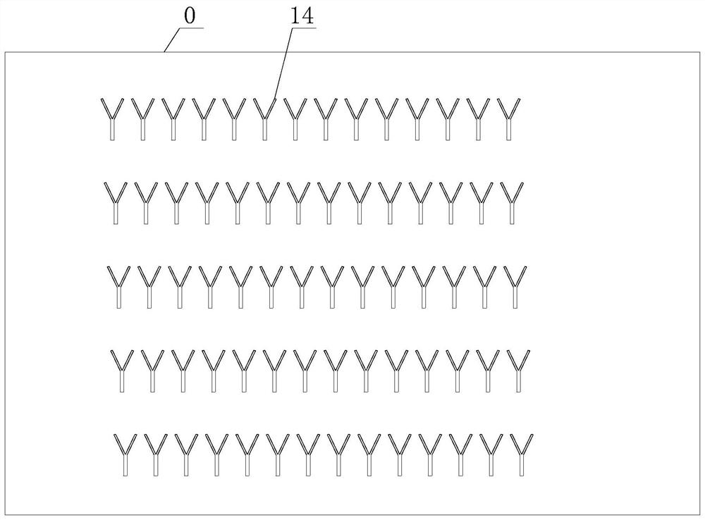 A method of gathering and eliminating the soil nematodes in greenhouses