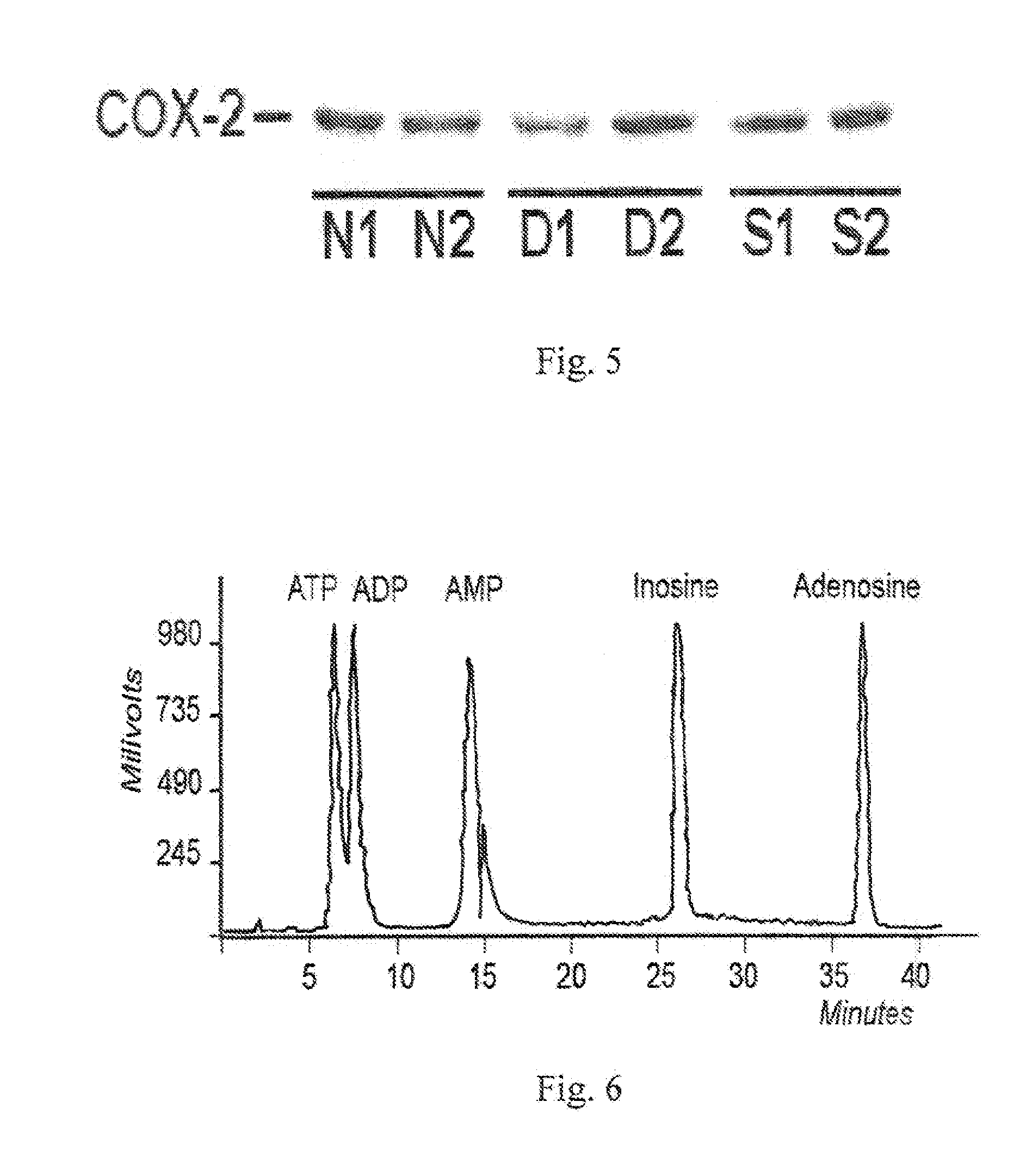 Composition and method of treating peripheral neuropathy