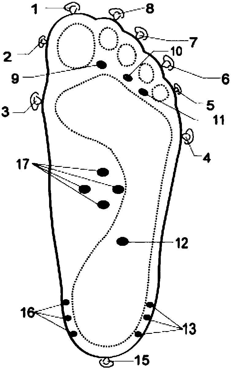 Perception Guide Shoes